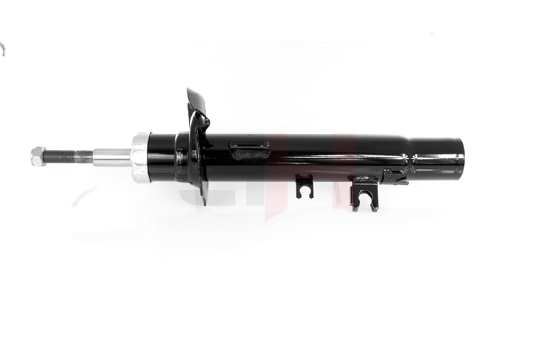 Stoßdämpfer GH-321902V GH 5202PY VW, PEUGEOT, CITROЁN, DS