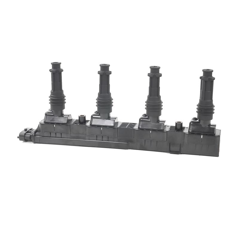 Ignition coil DELPHI GN10204-12B1 rangering
