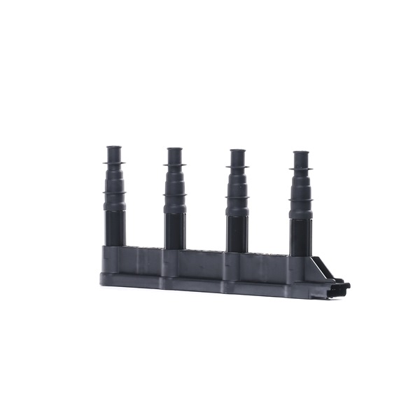GN10239 originele Ontstekingsspoel DELPHI AX