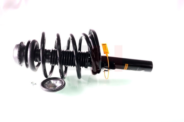 Suspension Strut GH GH-352506C01 rating