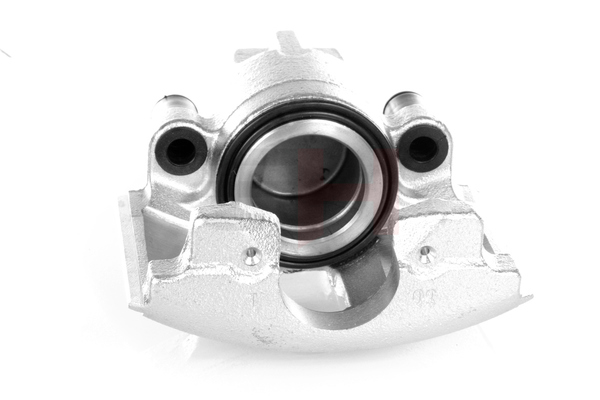 Jarrusatula GH GH-432561V