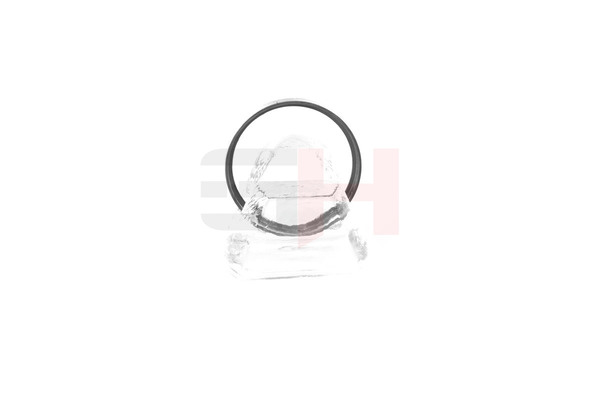 ABS Ring GH-493763 GH 454919 PEUGEOT, CITROЁN