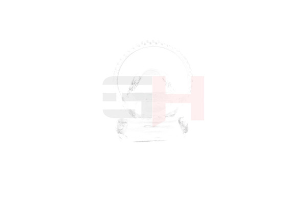 17571190 GH493981 OEM GH Сензорен пръстен abs цена