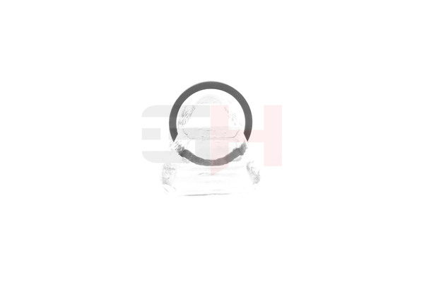 17571191 GH493985 OEM GH Сензорен пръстен abs цена
