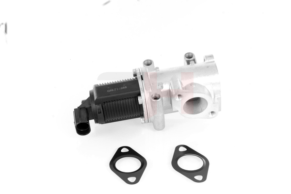 AGR-Ventil GH-731059 GH 138477 SUZUKI
