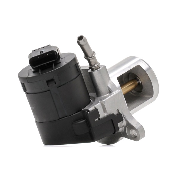 EGR RIDEX 4198E0128