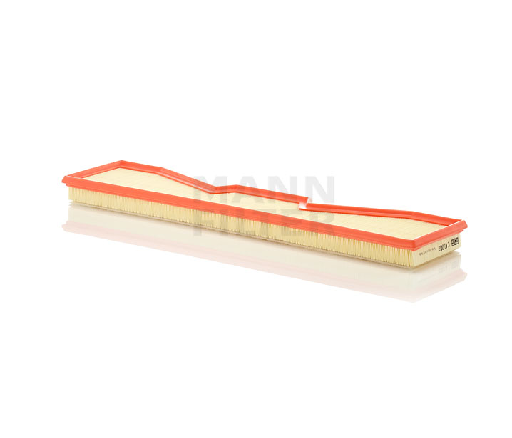 17861462 MANN-FILTER C 61 002