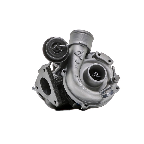 RIDEX REMAN 2234C10163R Турбокомпресор
