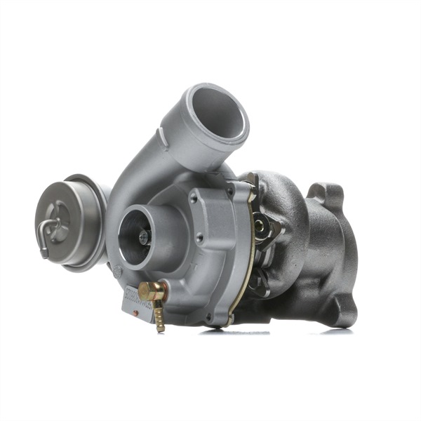 Turbolader RIDEX 2234C11409
