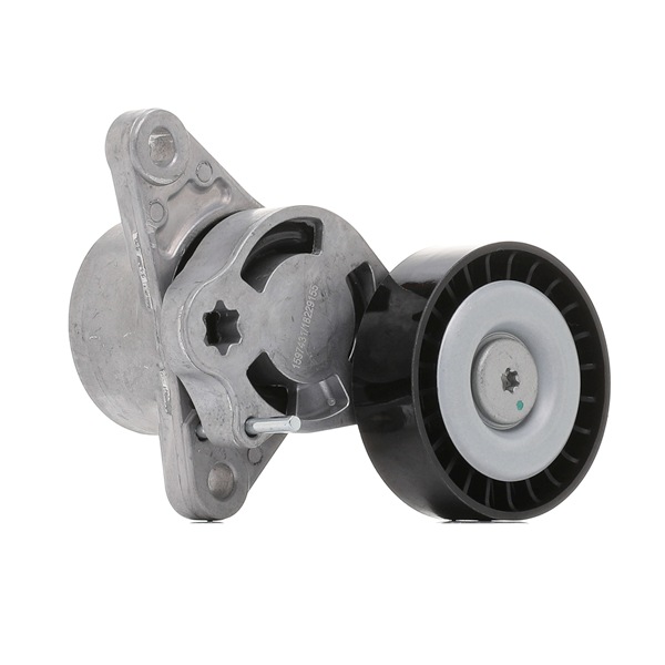 RIDEX 310T0648 Обтяжна ролка, пистов ремък