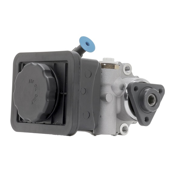 Servopumpe 12H0964 RIDEX 3450765 BMW