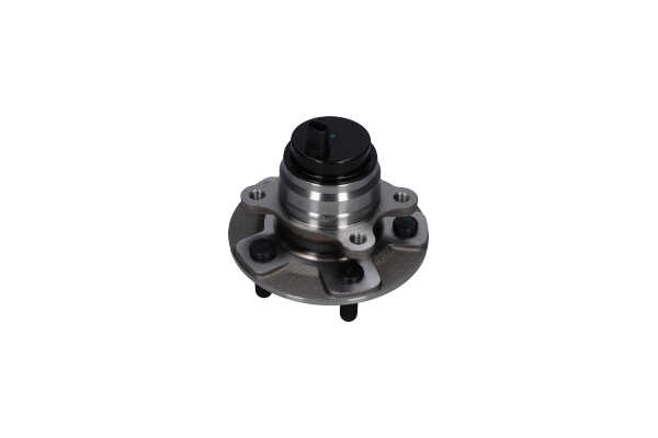 KAVO PARTS WBK-10063 Комплект колесен лагер