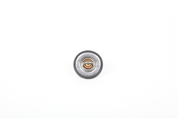 Continental 28020040032 thermostaat JEEP GRAND WAGONEER 2015 kosten