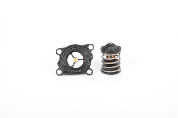 Continental 18293493 Termostato refrigerante Mini Roadster R59 precio