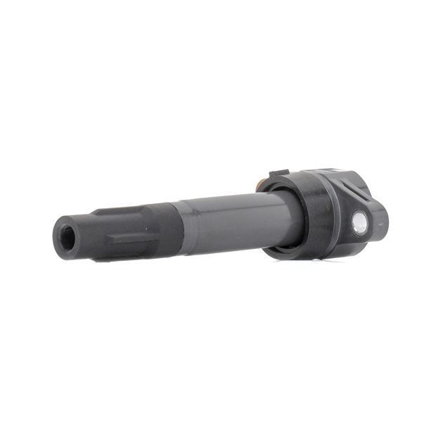Zündspule 689C0461 RIDEX 3340068K20 SUZUKI
