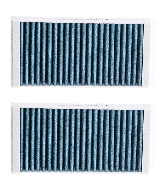 Kupéluftfilter RIDEX PLUS 424I0619P
