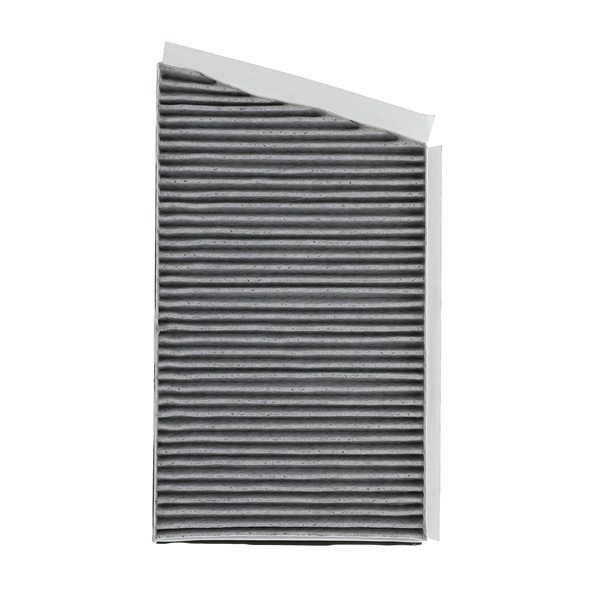 RIDEX PLUS 424I0529P Filtr, vzduch v interiéru