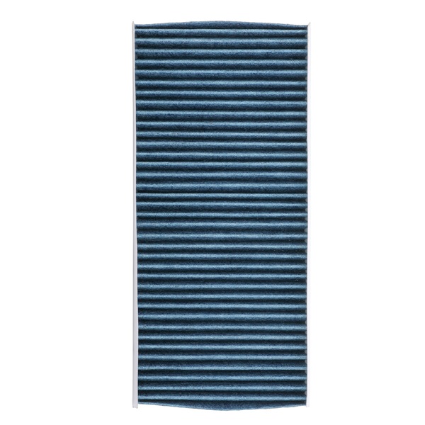 Pollen-filter RIDEX PLUS 424I0590P