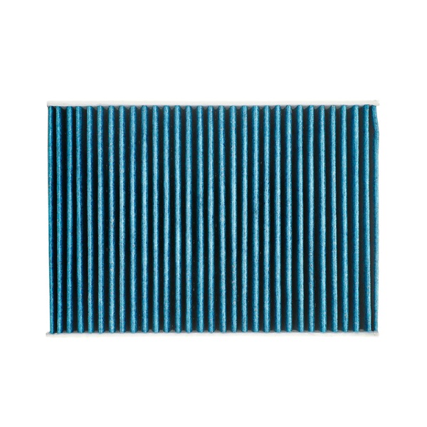 Microfiltro RIDEX PLUS 424I0540P