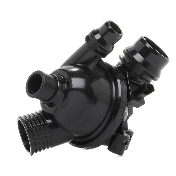DAYCO DT1301H Thermostat d'eau