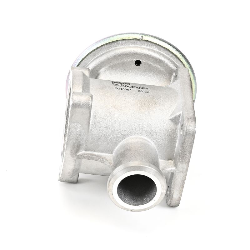 DELPHI EG10657-12B1 Válvula EGR