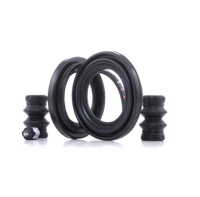 Kit revisione, pinza freno AUTOFREN SEINSA D43259