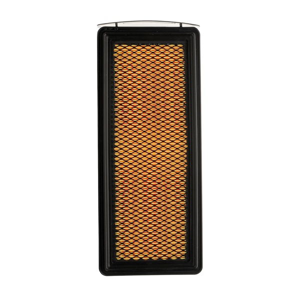 RIDEX PLUS 8A0615P Filtre à air
