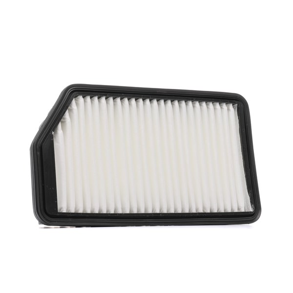 RIDEX PLUS 8A0413P Air filter