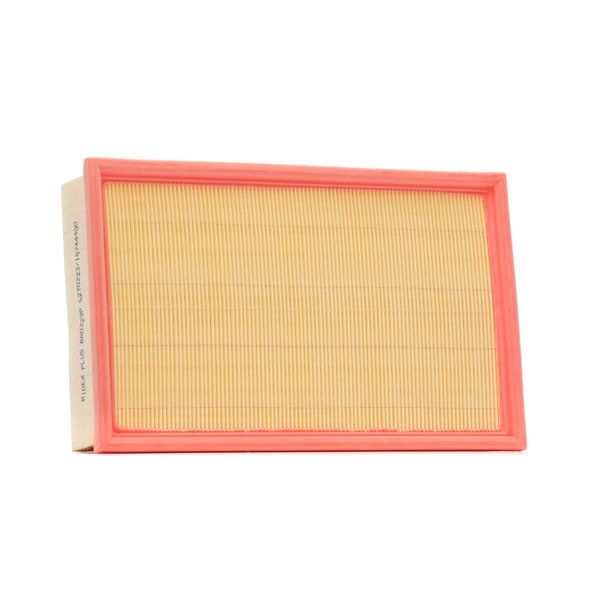Filtro dell'aria RIDEX PLUS 8A0329P