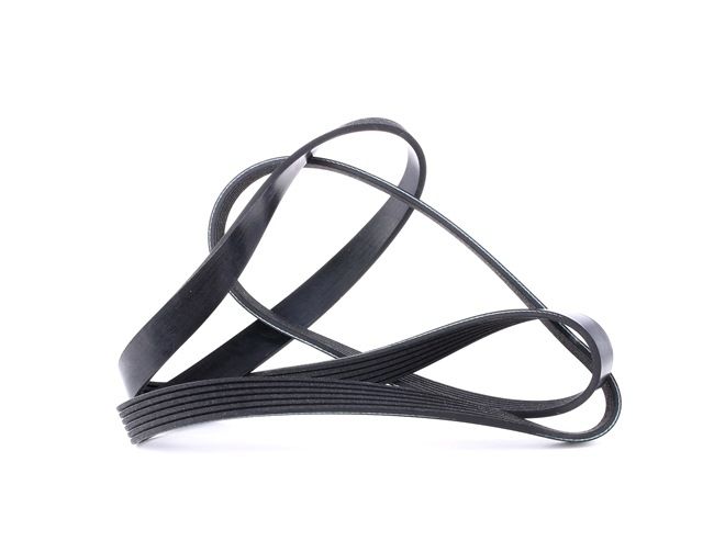 6PK1585 original Drive belt FEBI BILSTEIN CORSA