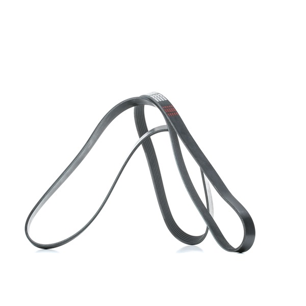 6PK1995 Serpentine belt FEBI BILSTEIN Mercedes-Benz