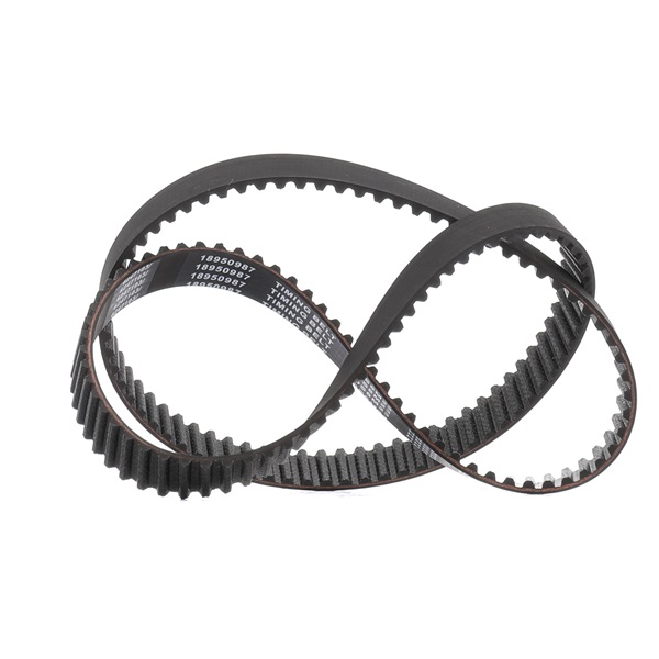 Correa de motor RIDEX PLUS 306T0016P