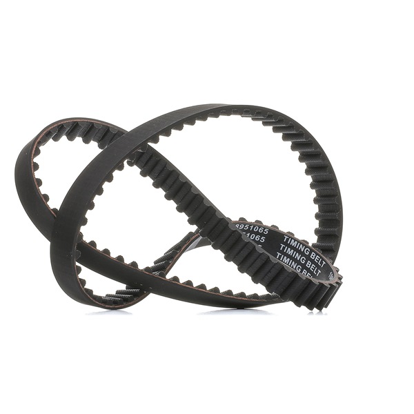Zahnriemen 306T0066P RIDEX PLUS 081644 VW, PEUGEOT, CITROЁN, DS
