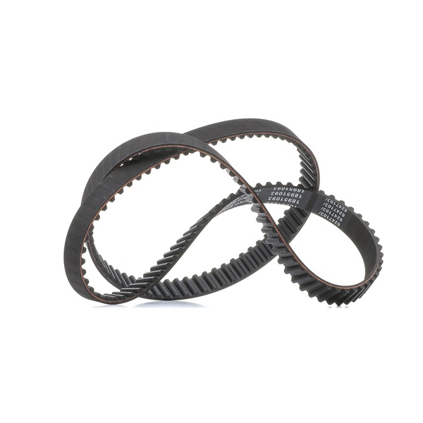 Zahnriemen 306T0042P RIDEX PLUS 054109119H VW, AUDI, SKODA, SEAT, NISSAN