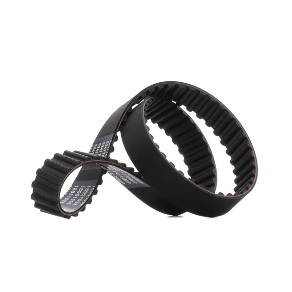 Zahnriemen 306T0030P RIDEX PLUS 59130113A VW, AUDI, SKODA, SEAT