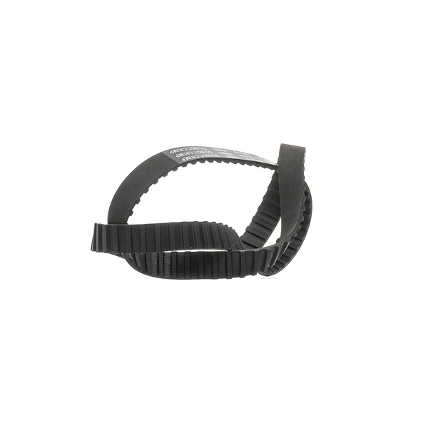 Wet belt RIDEX PLUS 306T0373P