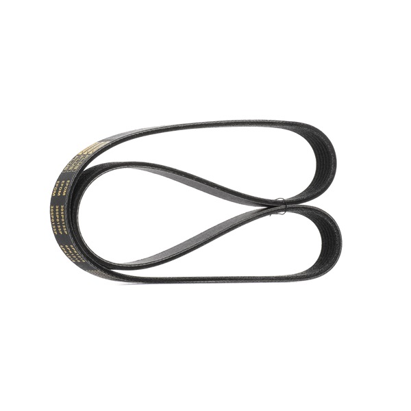 Keilrippenriemen 305P0135P RIDEX PLUS 30777660 OPEL, FORD, RENAULT, FIAT, PEUGEOT