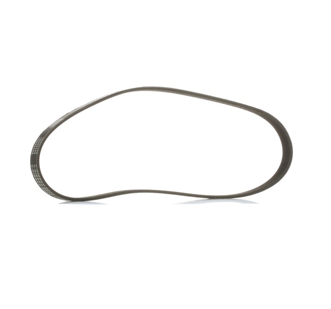 Correa de servicio RIDEX PLUS 305P0134P