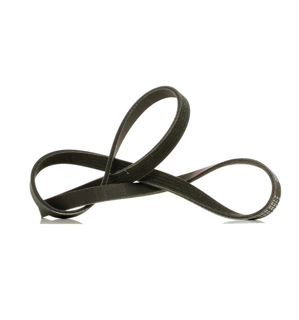 Poly-V-riem RIDEX PLUS 305P0156P