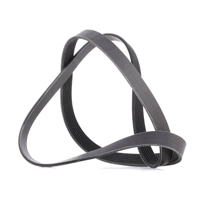 Keilrippenriemen 305P0241P RIDEX PLUS 11720VC10C NISSAN, INFINITI