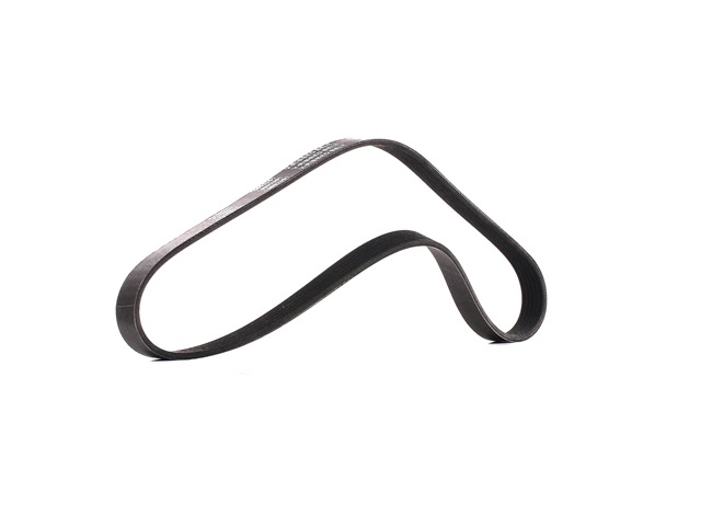 Keilrippenriemen 305P0052P RIDEX PLUS 91SF6C301C2C FORD, FORD USA
