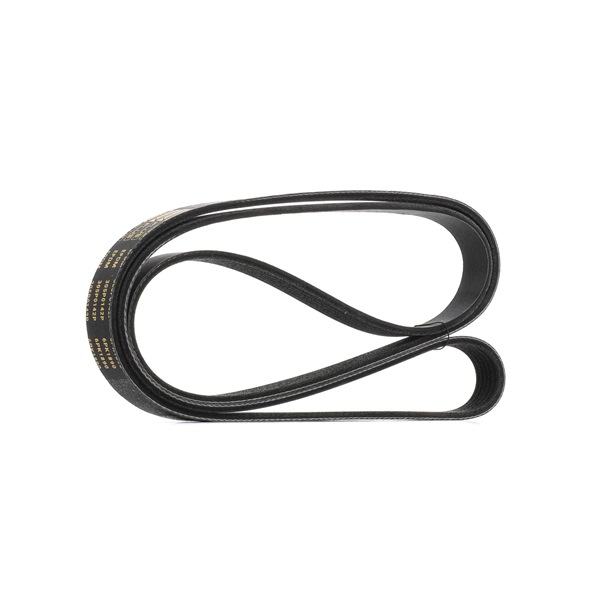 Curea de accesorii RIDEX PLUS 305P0142P