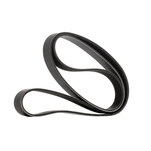 18952883 RIDEX PLUS 305P0323P Curea de accesorii Renault Koleos 1 preț