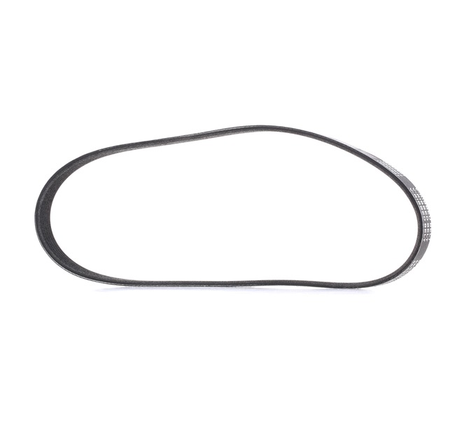 Multisnaar RIDEX PLUS 305P0317P