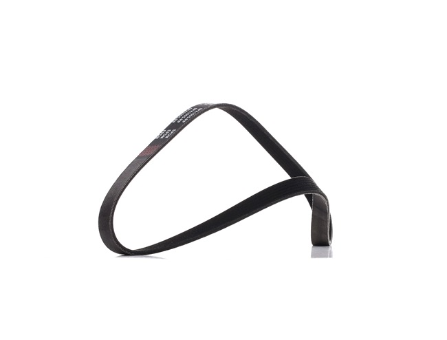 Correia poly v RIDEX PLUS 305P0425P
