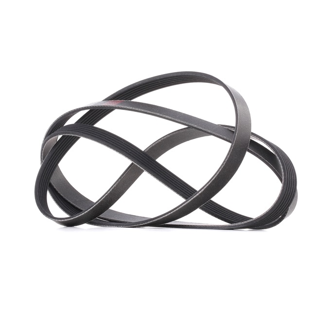 Keilrippenriemen 305P0216P RIDEX PLUS 06E903137AA VW, MERCEDES-BENZ, AUDI, SKODA, SEAT