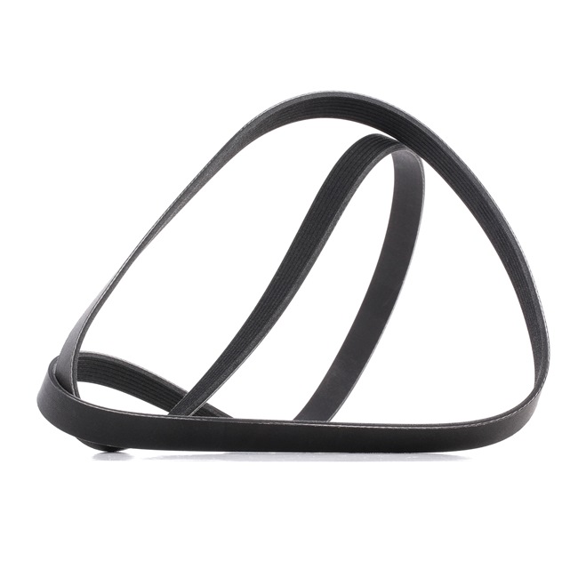 Keilrippenriemen 305P0416P RIDEX PLUS ERR6191 BMW, HONDA, LAND ROVER, SUBARU, ROVER