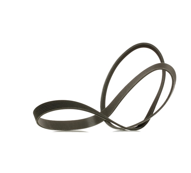 Curea de accesorii RIDEX PLUS 305P0307P