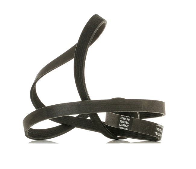 RIDEX PLUS 305P0091P Poly-V-riem AUDI A6 C6 Avant (4F5) 3.0 quattro 218 Pk Benzine BBJ