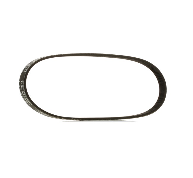 RIDEX PLUS 305P0615P Courroie Poly-V